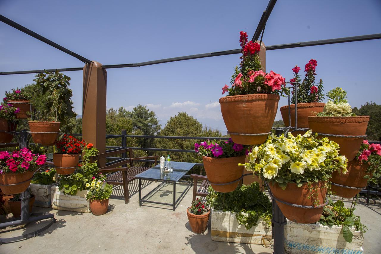 Langtang View Nagarkot Bed And Breakfast Экстерьер фото